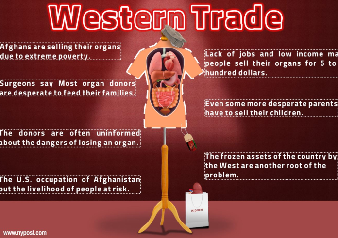 The Trade of Body Organs in Afghanistan