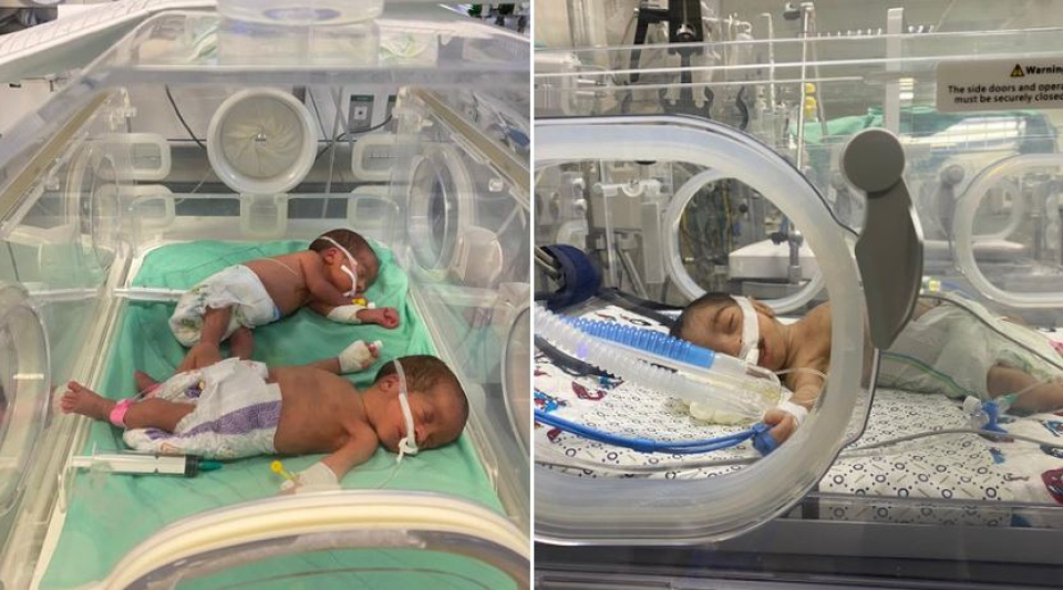 130 premature babies' lives in danger as Gaza hospitals reel from lack of fuel