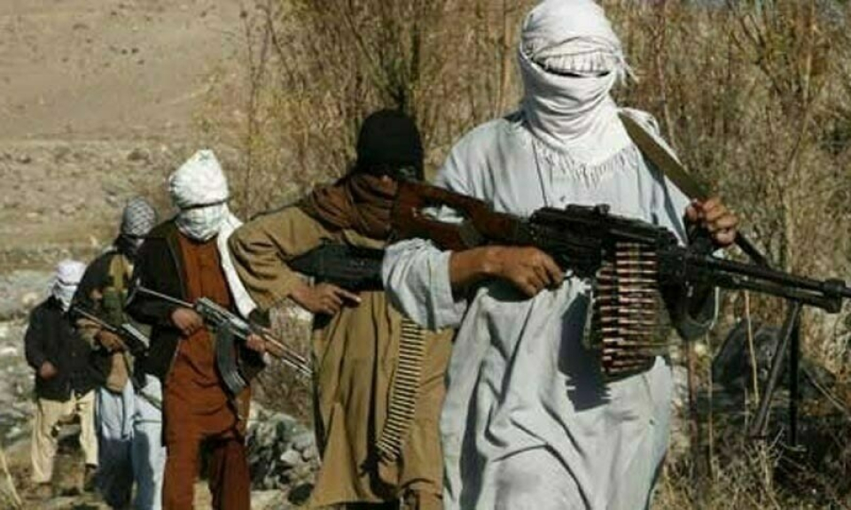 Over 3 dozens Pakistan's TTP terrorists held in Afghanistan