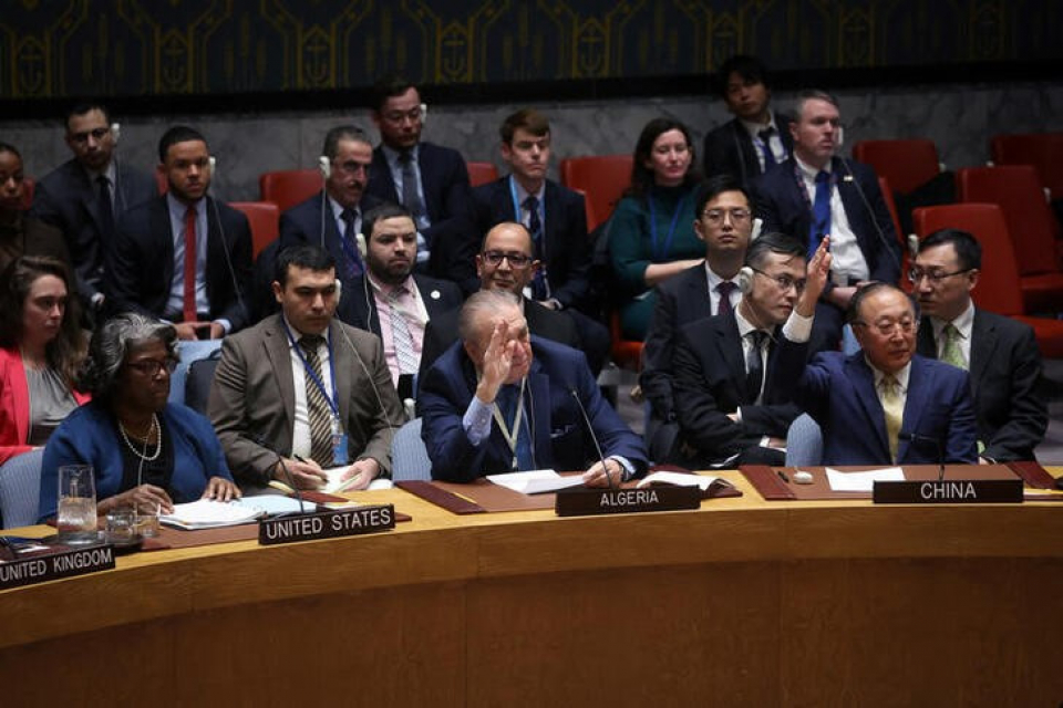 Russia and China Veto US-Proposed UN Ceasefire Resolution for Gaza