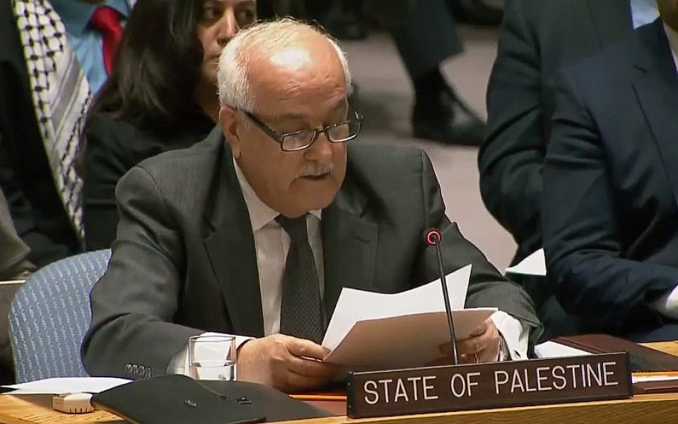 Amid Gaza Genocide, Palestinians Renew Push for UN Membership
