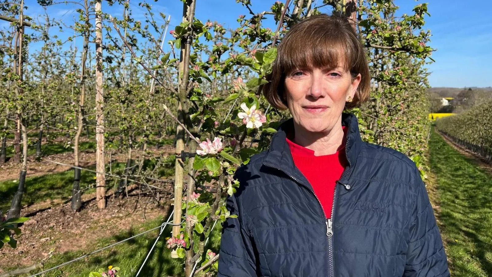 3e1e7ec0-32a3-11f1-bcd7-95478cdf5125_11zon